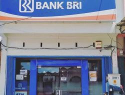 Tikus Piaraan Mulai Gerogoti BRI