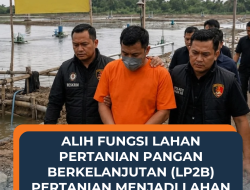 ALIH FUNGSI LAHAN SAWAH JADI TAMBAK UDANG