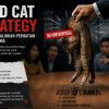 Mengenal Dead Cat Strategy: Saat Isu Kontroversial Mengalihkan Perhatian Publik